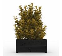 The Sussex Garden Planters (Orginal Black, 2FT)