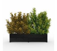 The Sussex Garden Planters (Orginal Black, 4FT)