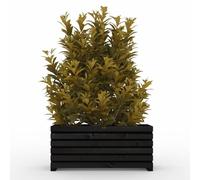 The Sussex Garden Planters (Slatted Black, 2FT)