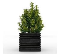 The Sussex Garden Planters (Slatted Black, SQUARE)