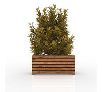 The Sussex Garden Planters (Slatted Tan, 2FT)