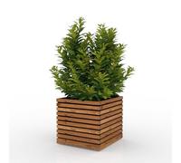 The Sussex Garden Planters (Slatted Tan, SQUARE)