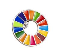 The Sustainable Development Goals Brooch United Nations SDGs Rainbow Pin Badge
