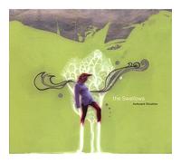 The Swallows - Awkward Situation