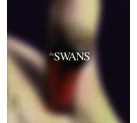 The Swans - Photographs & Letters