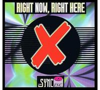 The Sync Inc. - Right Now, Right Here