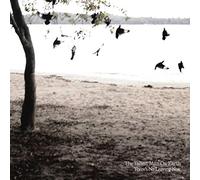 THE TALLEST MAN ON EARTH - There'S No Leaving Now