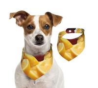 The Taste of Lemon Dog Bandana for Small Medium Large Dogs, Cat Dogs Kerchief Triangle Bibs Scarf for Girl Or Boy