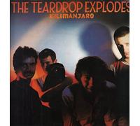 The Teardrop Explodes - Kilimanjaro