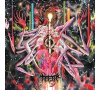 Curse Of Entropy [VINYL]