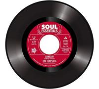 The Tempests - Someday / I Don't Want To Lose Her (7") [7" VINYL]