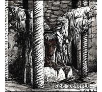 The Temple - The Temple [VINYL]