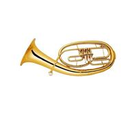 The Tenor Or Euphonium With Its Upright Or Flat Key Design Is Suitable For Beginners And Adults Adult Euphonium Instrument(1)