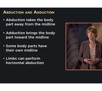 The Terminology of Movement Patterns