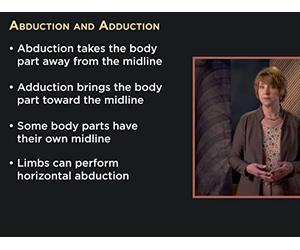 The Terminology of Movement Patterns