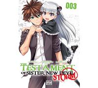 The Testament of sister new devil storm T03