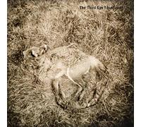 The Third Eye Foundation - Semtex (20th Anniversary Edition) [VINYL]