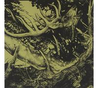 The Third Eye Foundation - The Dark