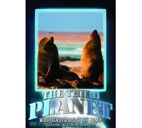 The Third Planet: Wolfpacks (Seals) Of The Namib [DVD]