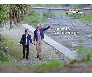 The Third Solar Term - Insects Awakening