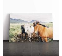 The Three Horses Canvas Print | Gallery Wrapped 30mm Frame Wall Art | 30x20 inches | Ready to Hang | Modern Animals Picture | Living Room Bedroom Lounge Office