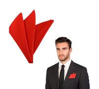 The Tie Co™ Satin Polyester Pocket Square - 28x28cm Handkerchief/Hanky for Suit Jackets, Weddings, Formal & Business Wear - Red
