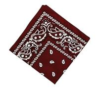 The Tie Company Bandana 100% Cotton Head Wrap Bandanna Head Wrap New Paisley Summer Scarf