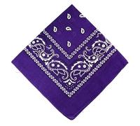 The Tie Company Bandana 100% Cotton Head Wrap Bandanna Head Wrap New Paisley Summer Scarf