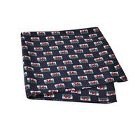 The Tie Studio Welsh Flag Handkerchief - Novelty Wales Pocket Square - Polyester Suit Hanky with Red Dragon Print for Rugby Fans, St David’s Day & Gifts