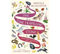 The Time Travelling Stone – Seven stories, one hillside, 6000 years