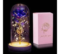 The Timeless Flower: LED Light Up Rose in Glass Dome - Perfect Romantic Gift for Women on All Occasions: Birthday, Valentines, Day Mothers Day