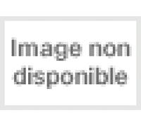 The Torture Never Stops [VINYL]