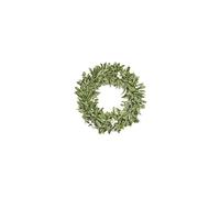 The Tree Company Stylish Frosted Mistletoe Festive Winter Wreath White Berries Indoor/Outdoor Use Decoration 35cm