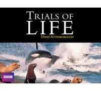 The Trials of Life - Episode 6