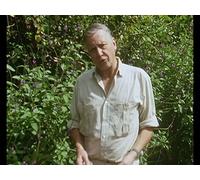 The Trials of Life - Episode 8