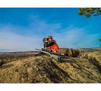 The Trifecta of Montana