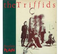 The Triffids (80s) Treeless Plain UK vinyl LP album record HOT1003 Hot 1984