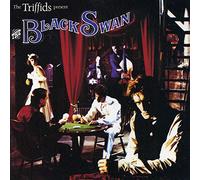 The Triffids - Black swan (1989)