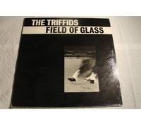 The Triffids - Field Of Glass