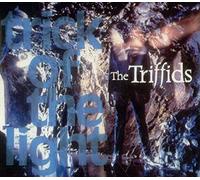 The Triffids - Trick of the Light