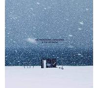 The Tronosonic Experience - Ii: The Big Blow (Ltd Coloured Vinyl) [VINYL]