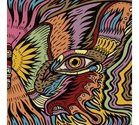 The Tronosonic Experience - The Shadow Vol.2 [VINYL]