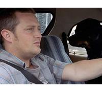 The Truth About Cats and Dogs: Part 1