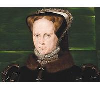 The Tudor Conquest of Ireland