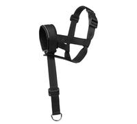 The Tuesproof Muzzle Dog Training Mouse walks the muzzle that covers a short nose mouthguard for everyday walks
