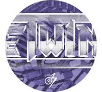 The Twins - Youve Got A Twin In The Attic (You Lunatic) [VINYL]