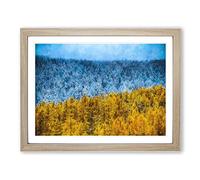 The Two Forests Painting Modern Art Framed Print | A3 Oak Framed Wall Art | Ready to Hang | Modern Historical Picture | Living Room Bedroom Lounge Office