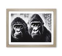 The Two Gorillas Framed Print | A2 Oak Framed Wall Art | Ready to Hang | Modern Animal Picture | Living Room Bedroom Lounge Office