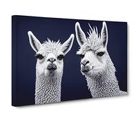 The Two Llamas Vol.3 Canvas Print | Gallery Wrapped 30mm Frame Wall Art | 30x20 inches | Ready to Hang | Contemporary Animal Picture | Living Room Bedroom Lounge Office