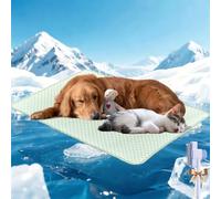 The Ultimate Cooling Pet Mat, Cooling Bed, Cooling Mat for Dogs, Discover the Versatile Ice Silk Cooling Mat, Self Cool Dog Sofa, Washable, Non-Slip Bottom, Dog Cooling Mat (XL(60*80 CM),Green)